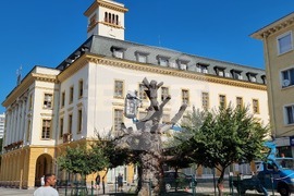 Сливен - Стария бряст - резитба