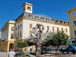 Сливен - Стария бряст - резитба