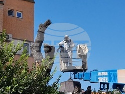 Сливен - Стария бряст - резитба