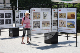 Варна - Международна фотографска изложба IX PHOTO CONTEST BULGARIA