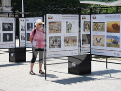 Варна - Международна фотографска изложба IX PHOTO CONTEST BULGARIA