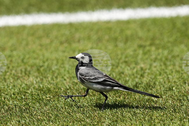 МОНЦАМЕ: Монголия ще внедри международни стандарти за опазване на биоразнообразието