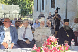 Видин - книги - представяне