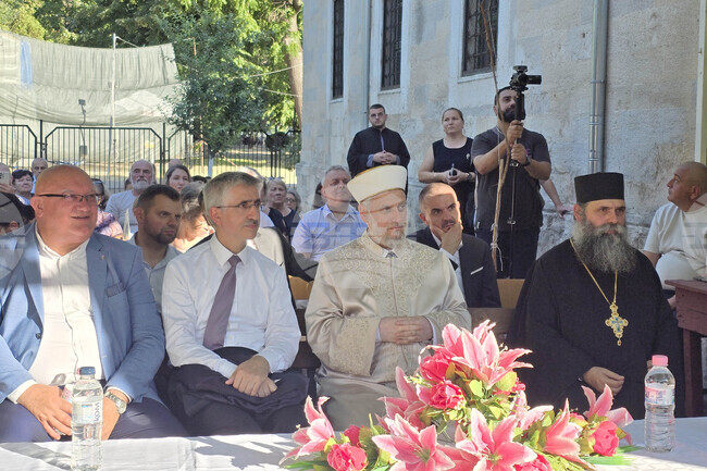 Видин – книги – представяне