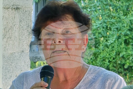 Видин - книги - представяне