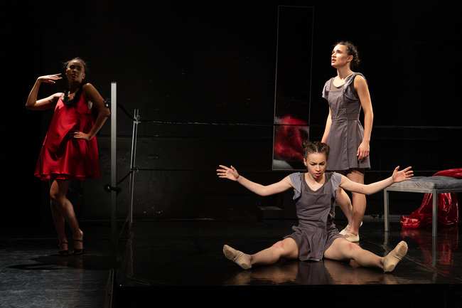 „Вик на прокълнати“ пренася „Слугините“ от Жан Жьонена в танцовия театър