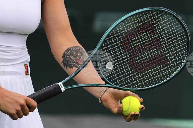 Водачката в схемата на "Уимбълдън" Арина Сабаленка започва срещу квалификантка, може да срещне Джазмин Паолини на полуфиналите