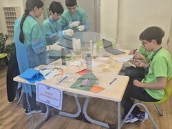 Общо 13 отбора от столични училища участваха в Първия интердисциплинарен турнир "Деца на науката". Снимка: МОН