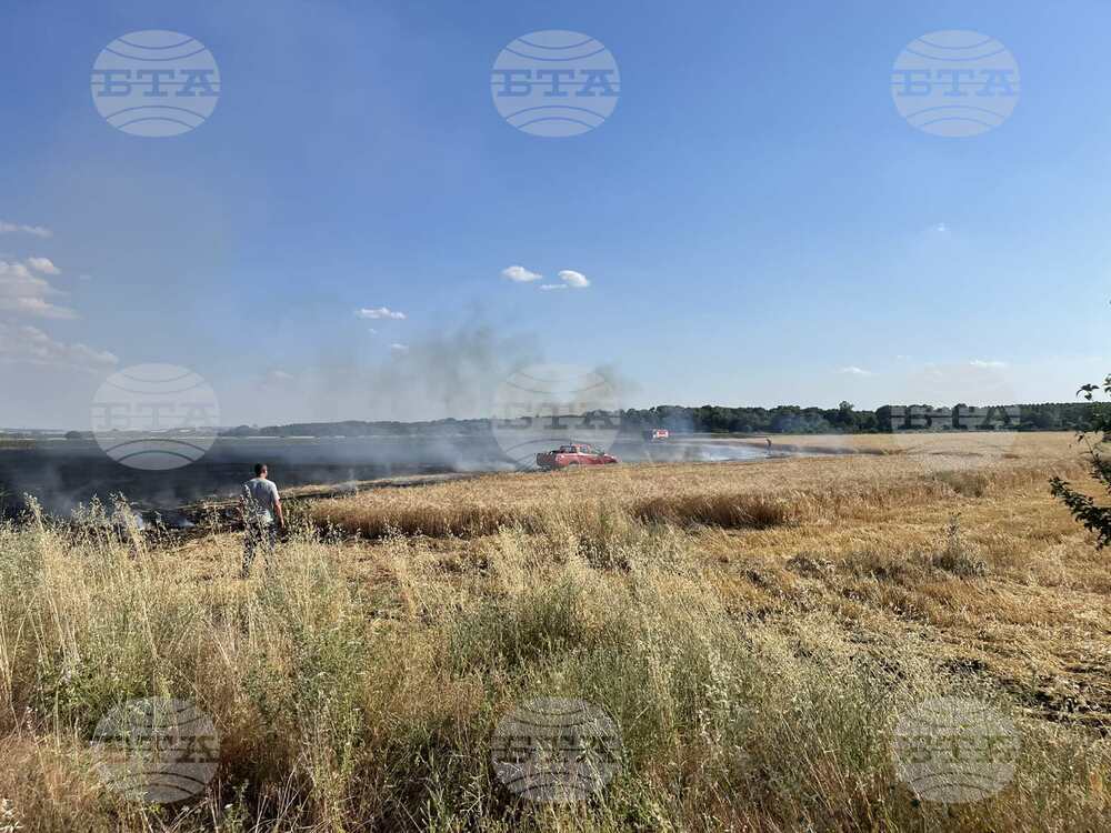 Ограничен е пожарът в нива с пшеница край ямболското село Завой