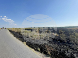 Ямбол - нива - пожар