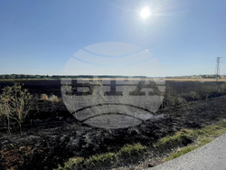 Ямбол - нива - пожар