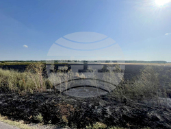 Ямбол - нива - пожар