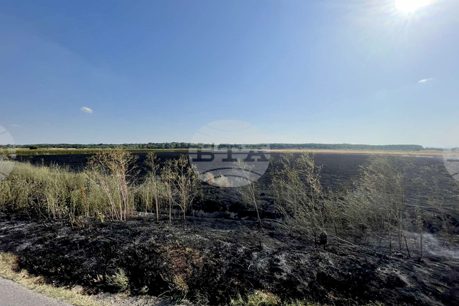 Овладян е пожарът, който пламна в покрайнините на ямболското село Асеново