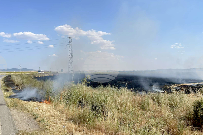Земеделски дейности ще се извършват само в ранните сутрешни часове заради пожароопасния сезон, съобщи МЗХ