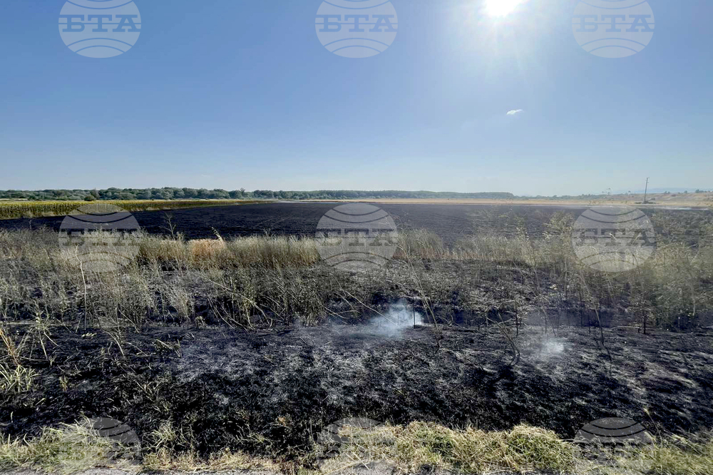 Пожар гори в близост до автомагистрала "Тракия" в област Стара Загора