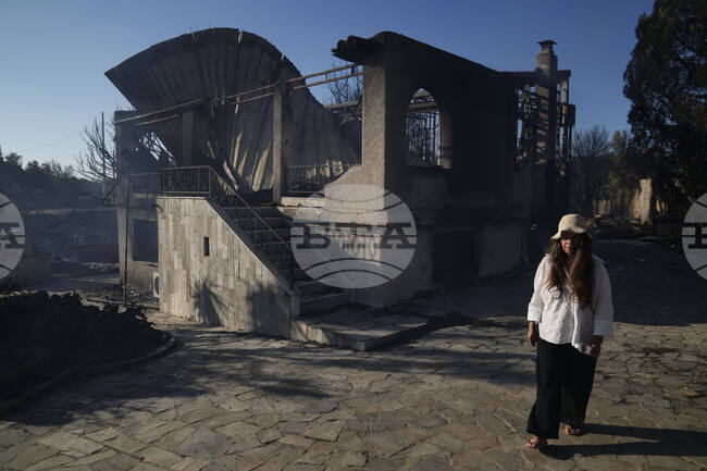 Пожарът в гръцката област Атика е овладян; четири къщи са изгорели напълно