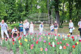 Шумен - Комедиен театрален фестивал „Тодор Колев“ - откриване