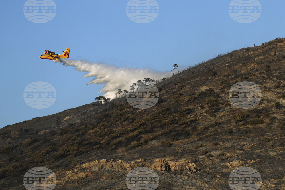 Greece Wildfire