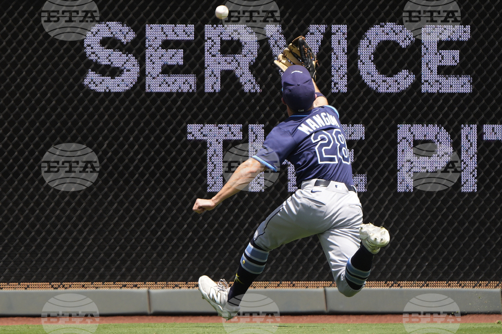 Rays Royals Baseball