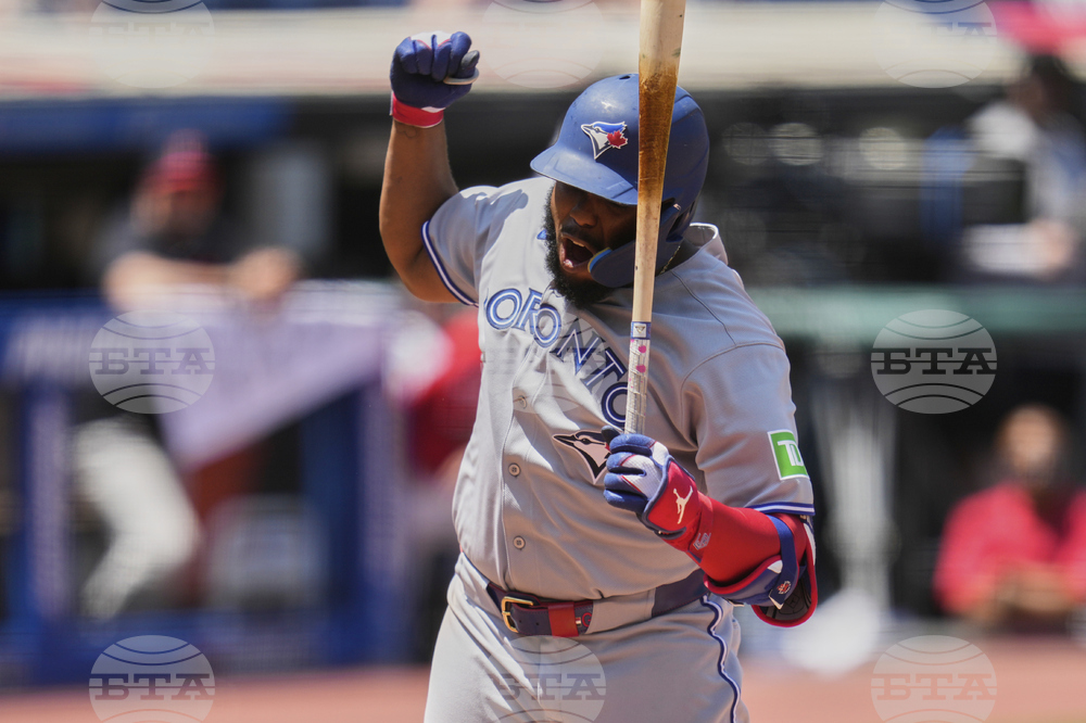 Blue Jays Guardians Baseball