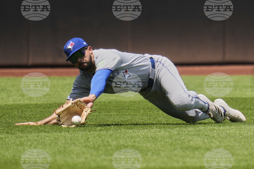 Blue Jays Guardians Baseball