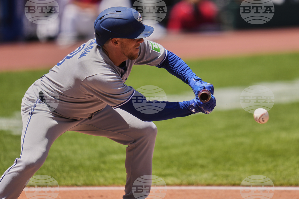 Blue Jays Guardians Baseball