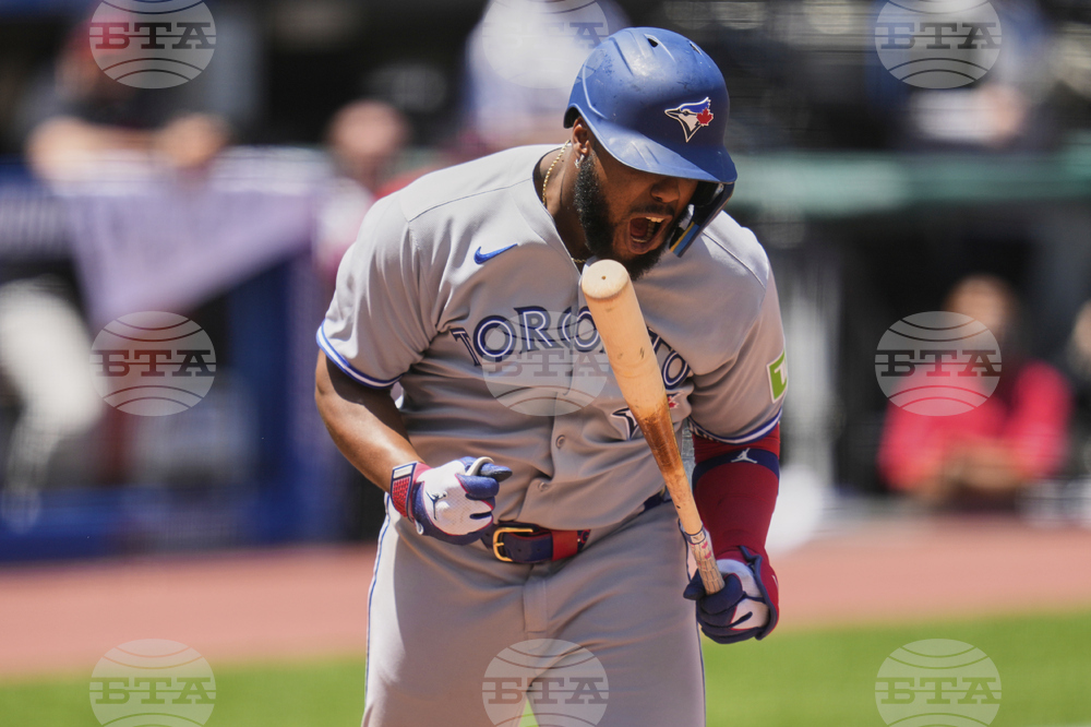 Blue Jays Guardians Baseball