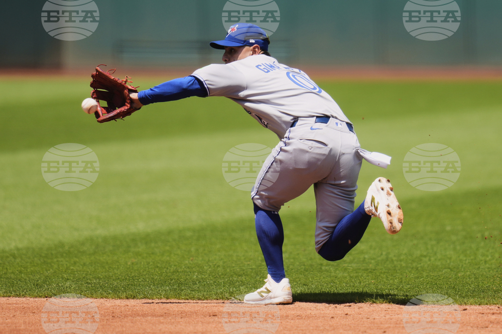 Blue Jays Guardians Baseball