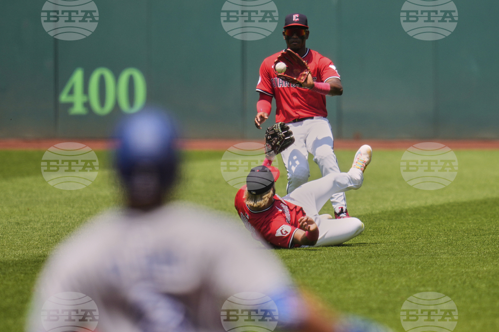 Blue Jays Guardians Baseball