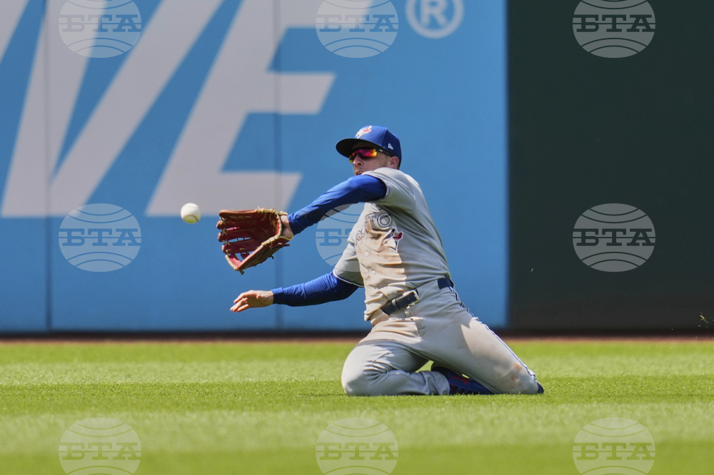 Blue Jays Guardians Baseball