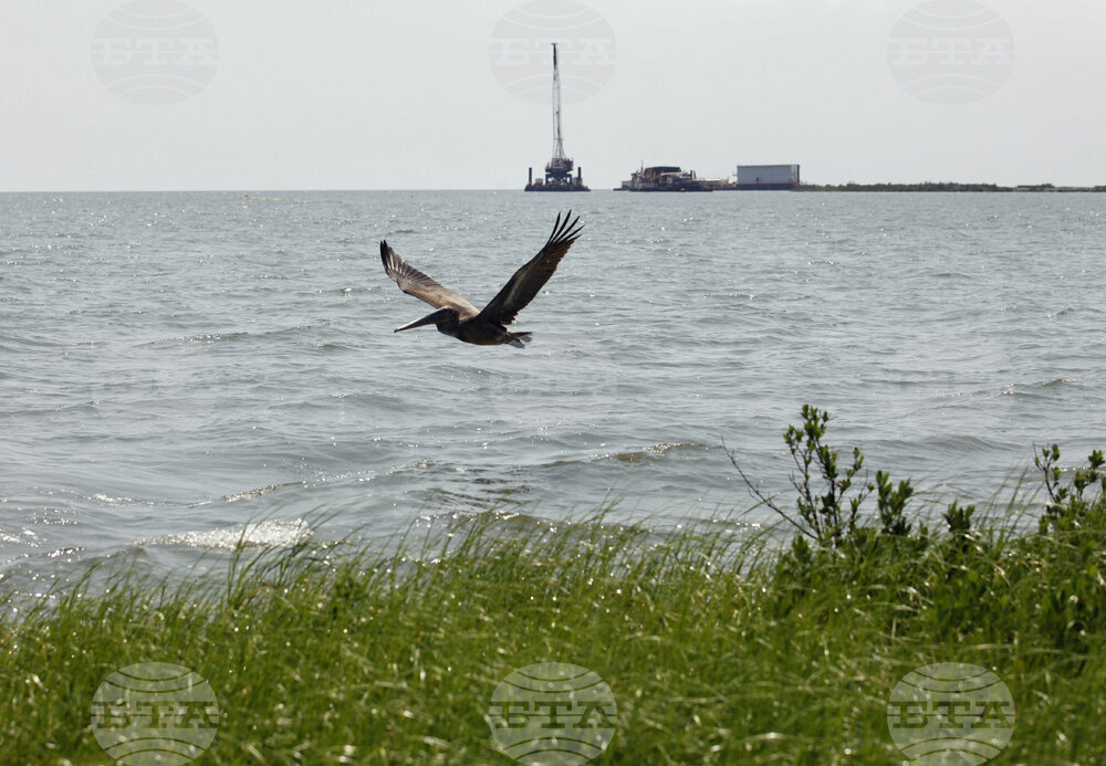 Gulf Pipeline Leak Cause