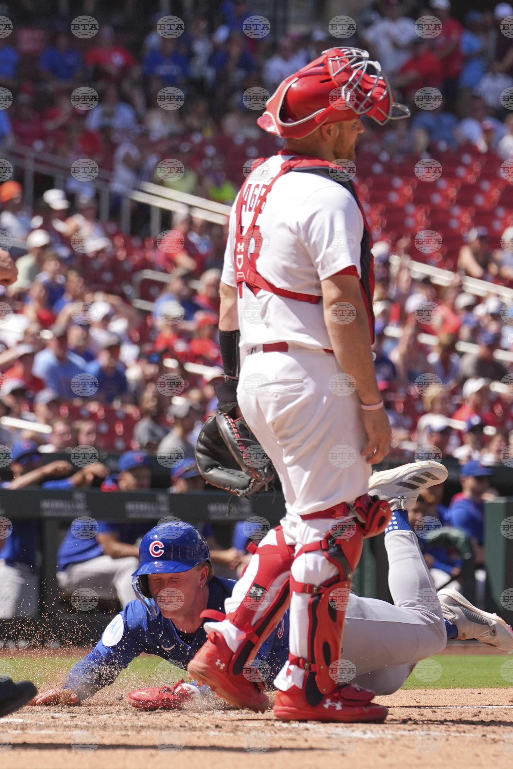 Cubs Cardinals Baseball