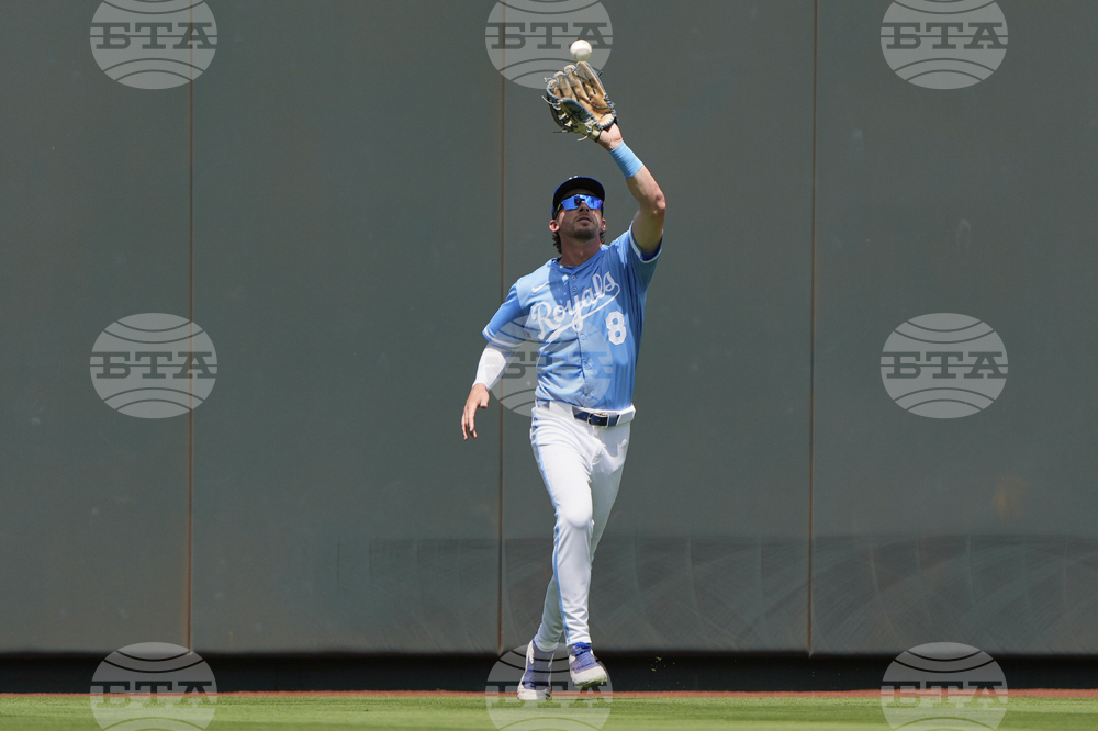 Rays Royals Baseball