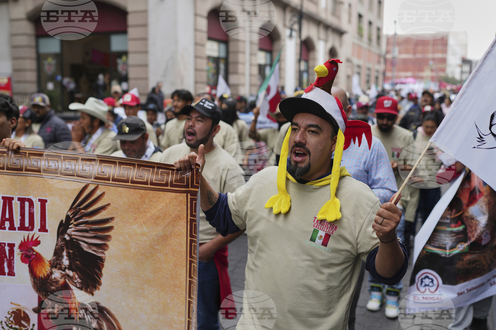 Mexico Protest