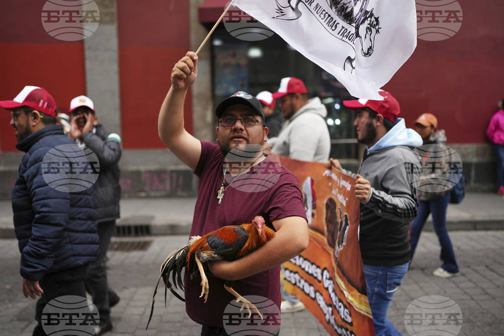 Mexico Protest