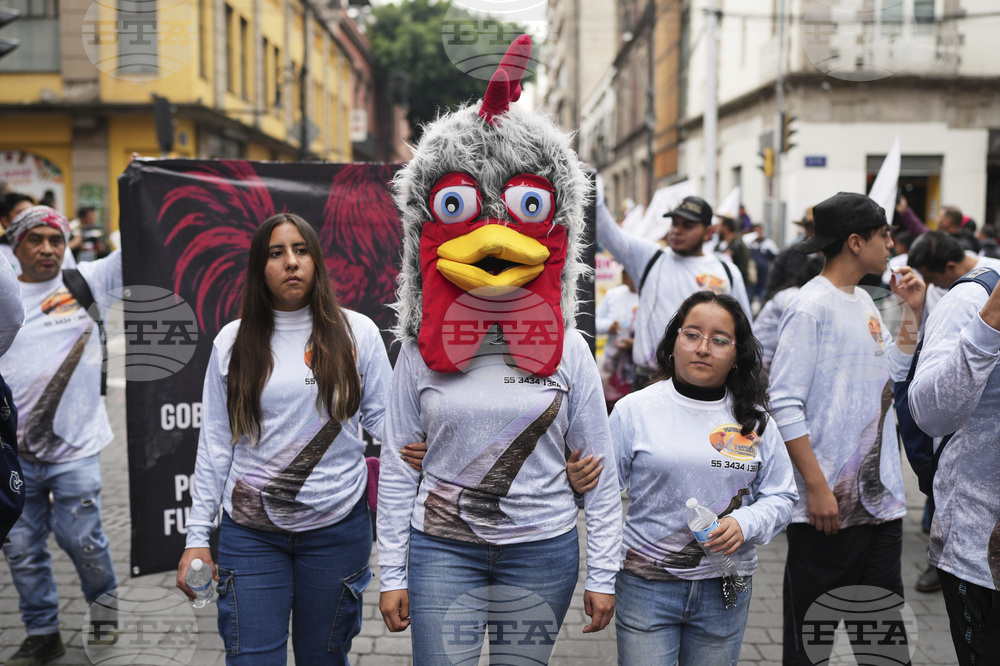 Mexico Protest