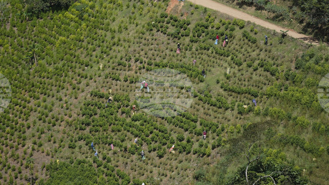 Френските военноморски сили са конфискували 1,4 тона кокаин от Латинска Америка 