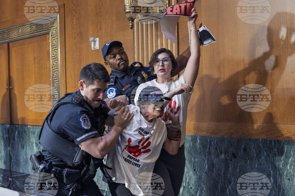 Pictures of the Week Global Photo Gallery