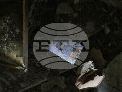 Pictures of the Week Global Photo Gallery