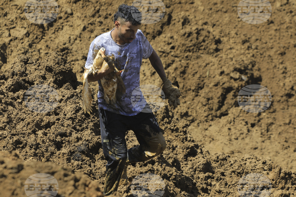Pictures of the Week Latin America and Caribbean Photo Gallery
