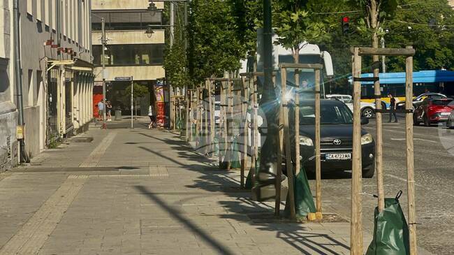 Sofia Launches Weekly Watering Campaign to Protect Young Trees from Summer Heat