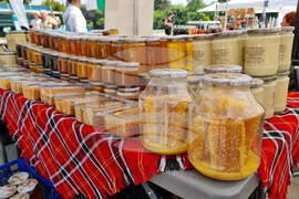 Фермерски фестивал - "За храната, книгите и родителството"