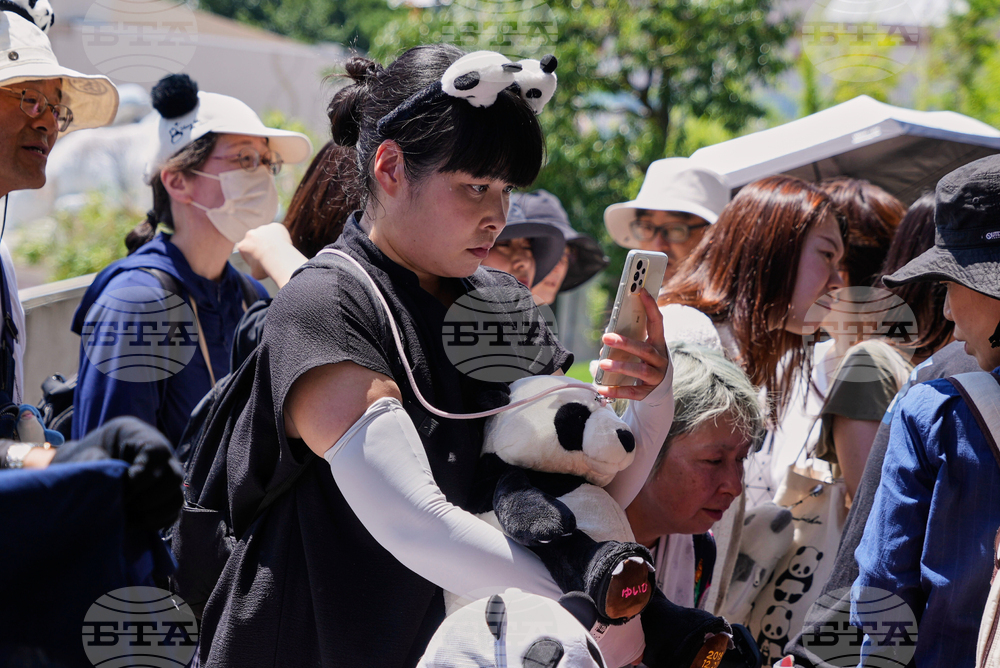 Japan Panda Farewell