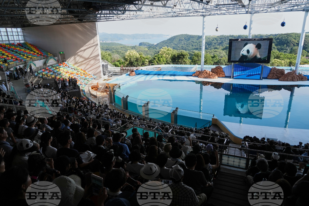 Japan Panda Farewell