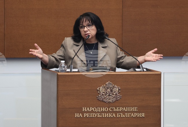 Subsidies for Purchase of Electric Cars in Bulgaria Should Be in Line with Policy of Fiscal Consolidation: Finance Minister Petkova