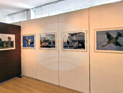 Свищов - Вилхелм Йоцов - изложба „Фотодесант“