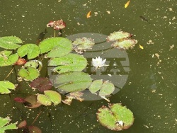 Снимка: Община Шумен