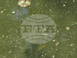 Снимка: Община Шумен