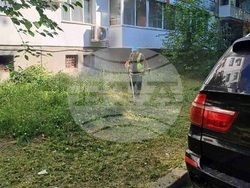 Снимка: Община Шумен