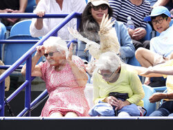 Britain Tennis
